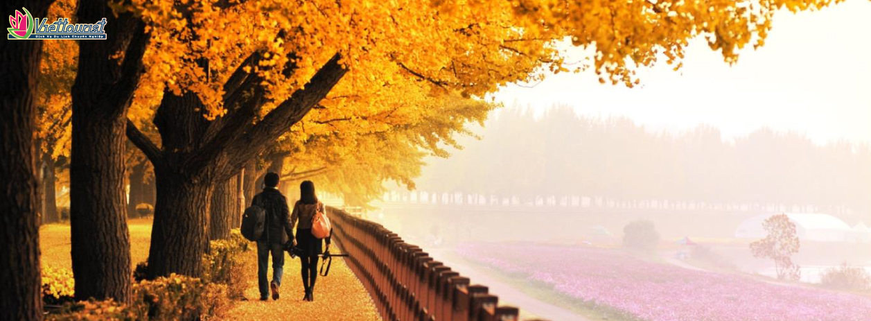 Tour Lễ 2/9 Hàn Quốc