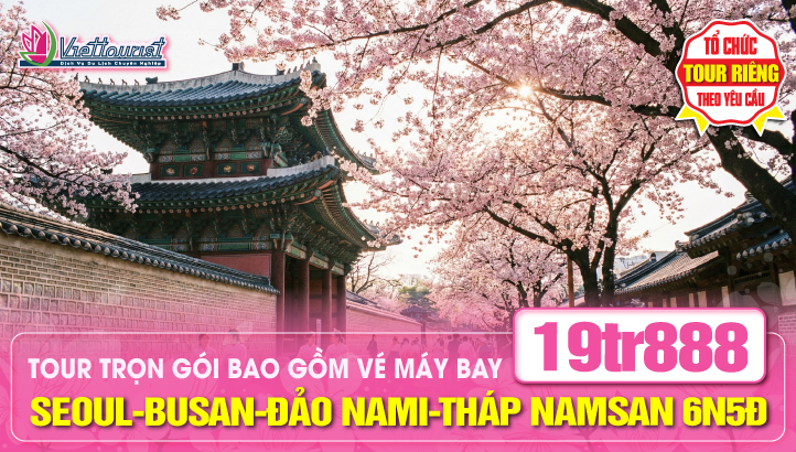 Tour Du Lịch Hàn Quốc Thưởng Ngoạn Hoa Anh Đào liên tuyến BUSAN - SEOUL– ĐẢO NAMI - THÁP NAMSAN - EVERLAND 5N5Đ