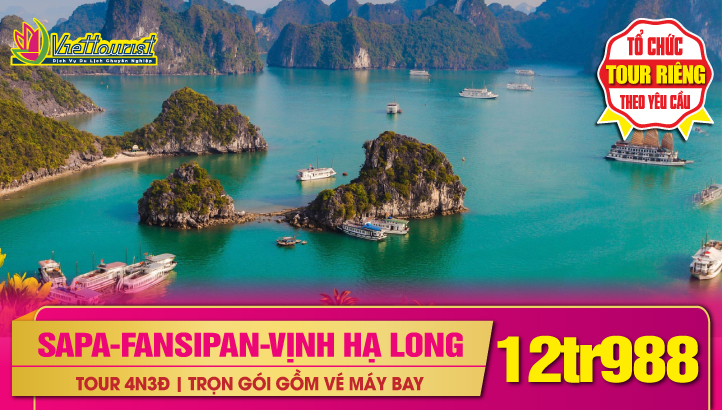 TOUR DU LỊCH TẾT HÀ NỘI - SAPA - HẠ LONG 4N3Đ