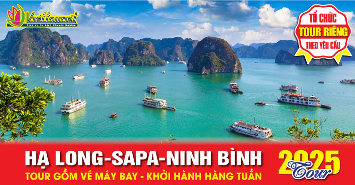 HẠLONG - SAPA - NINH BÌNH