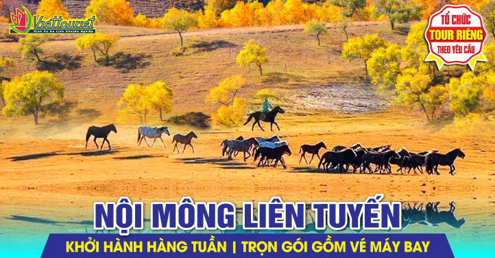TQ: Nội Mông liên tuyến