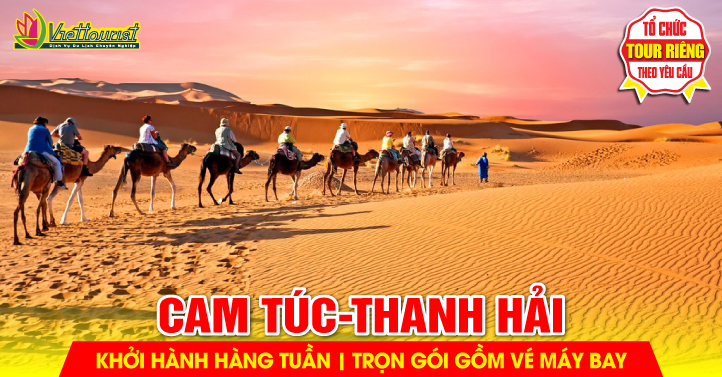 Cam Túc - Ninh Hạ - Thanh Hải