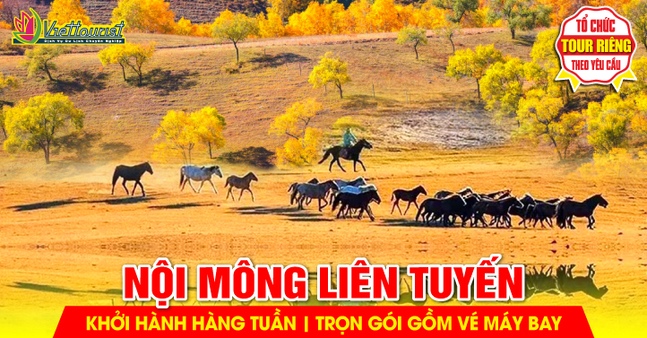 TQ: Nội Mông liên tuyến