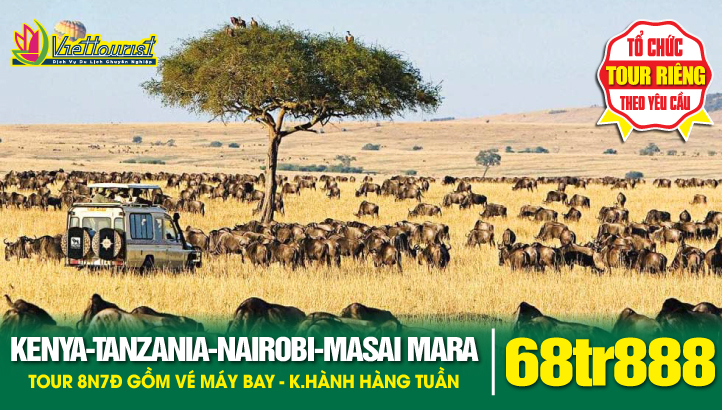 Du lịch TANZANIA - KENYA 8N7Đ - Khám phá Châu Phi hoang dã | Nairobi - Masai Mara - Lake Nakuru - Arusha - Serengeti - Ngorongoro