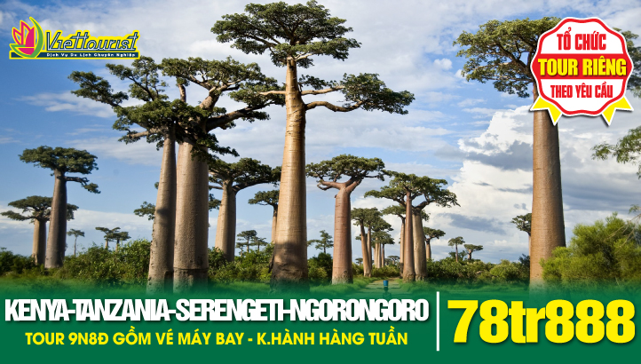 Du lịch TANZANIA - KENYA 9N8Đ - Khám phá Châu Phi hoang dã | Nairobi - Masai Mara - Lake Nakuru - Arusha - Tarangire - Serengeti - Ngorongoro