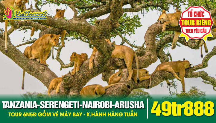 Du lịch TANZANIA 6N5Đ - khám phá Châu Phi hoang dã Serengeti - Ngorongoro - Nairobi - Arusha