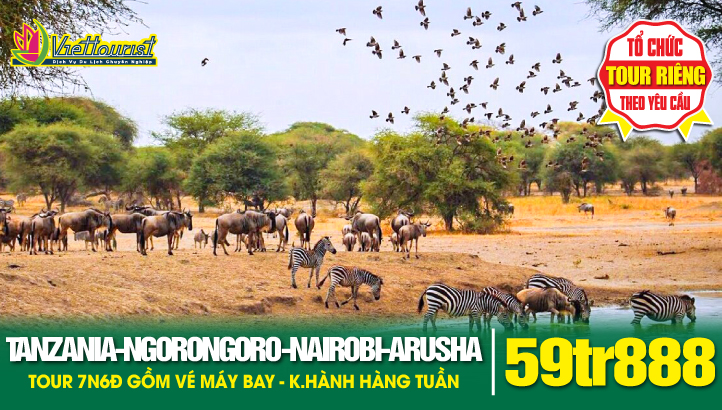 Du lịch TANZANIA 7N6Đ - Khám phá Châu Phi hoang dã | Nairobi - Arusha - Tarangire - Serengeti - Ngorongoro