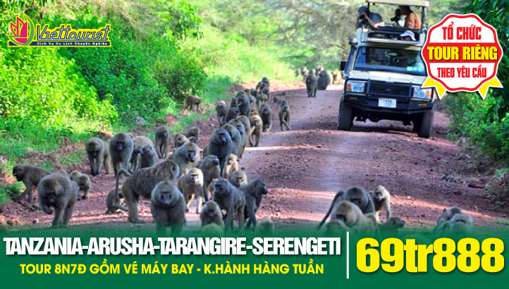 Du lịch TANZANIA 8N7Đ - Khám phá Châu Phi hoang dã | Nairobi - Arusha - Tarangire - Serengeti - Ngorongoro - Lake Manyara - Mto Wa Mbu Village