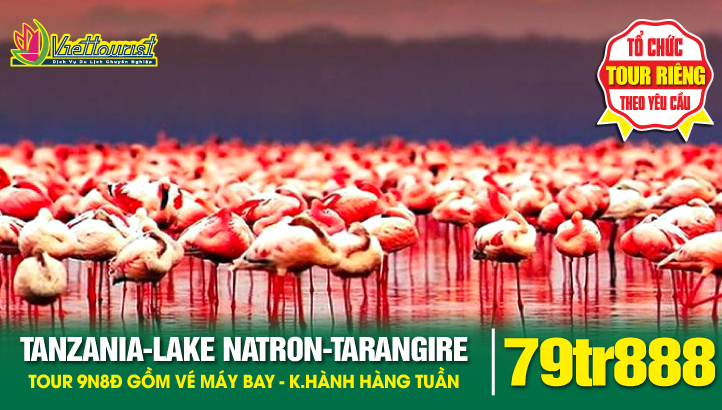 Du lịch TANZANIA 9N8Đ - Khám phá Châu Phi hoang dã | Nairobi - Arusha - Serengeti - Ngorongoro - Lake Manyara - Mto Wa Mbu Village - Lake Natron - Tarangire