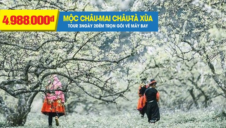 Tour Mộc Châu - Sơn La - Mai Châu - Hoà Bình - Săn mây Tà Xùa - Chinh phục Sống lưng khủng long 3N2Đ