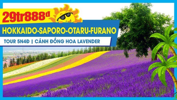Du lịch HOKKAIDO - NHẬT BẢN mùa hè 5N4Đ | Saporo - Otaru - Asahikawa - Furano - Cánh đồng hoa Lavanda & lễ hội hoa hướng dương