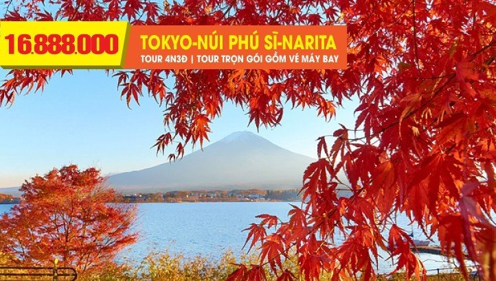 Tour du lịch Nhật Bản mùa thu TOKYO - NÚI PHÚ SỸ - LÀNG CỔ OSHINO HAKKAI - NARITA 4N3Đ