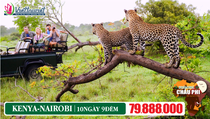 Du lịch Kenya 10N9Đ - khám phá Châu Phi Safari hoang dã - Masai Mara - Nakuru Lake - Samburu - Amboseli - Kilimanjaro - Tsavo East