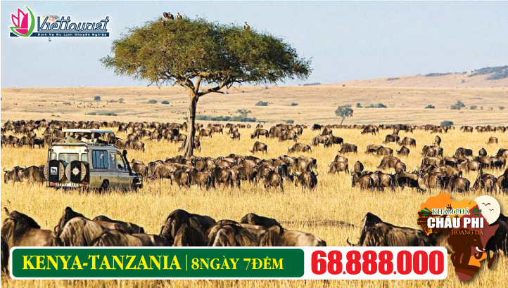 Du lịch TANZANIA - KENYA 8N7Đ - Khám phá Châu Phi hoang dã | Nairobi - Masai Mara - Lake Nakuru - Arusha - Serengeti - Ngorongoro