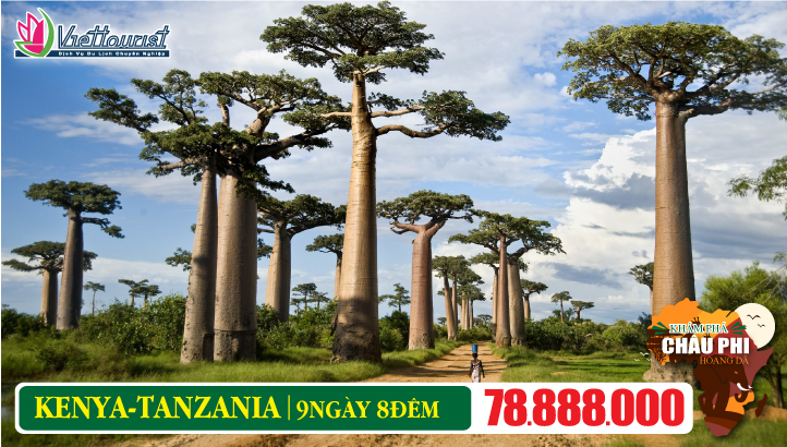 Du lịch TANZANIA - KENYA 9N8Đ - Khám phá Châu Phi hoang dã | Nairobi - Masai Mara - Lake Nakuru - Arusha - Tarangire - Serengeti - Ngorongoro