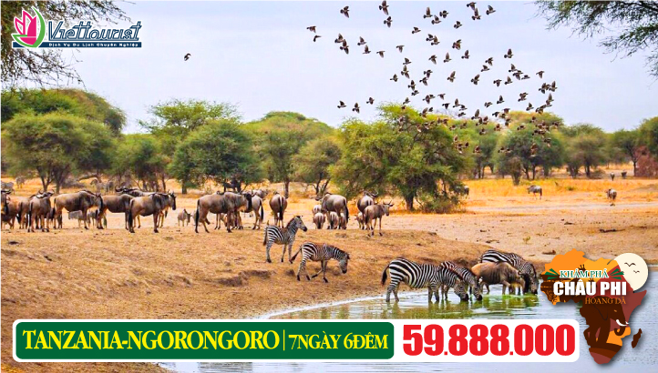 Du lịch TANZANIA 7N6Đ - Khám phá Châu Phi hoang dã | Nairobi - Arusha - Tarangire - Serengeti - Ngorongoro