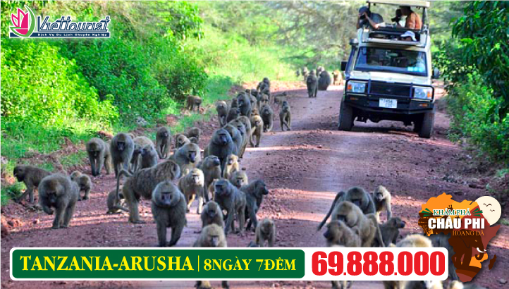 Du lịch TANZANIA 8N7Đ - Khám phá Châu Phi hoang dã | Nairobi - Arusha - Tarangire - Serengeti - Ngorongoro - Lake Manyara - Mto Wa Mbu Village