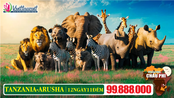 Du lịch TANZANIA 12N11Đ - Khám phá Châu Phi hoang dã | Nairobi - Arusha - Serengeti - Ngorongoro - Lake Eyasi village - Hadzabe tribe - Lake Manyara - Mto Wa Mbu Village - Lake Natron - Tarangire - Kilimanjaro - Mkomazi - Tanga - Pangani beach