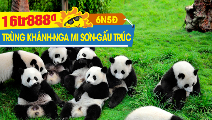 Tour du lịch Trung Quốc hè| Trùng Khánh - Thành Đô - Nga Mi Sơn - Lạc Sơn Đại Phật - Công viên gấu Trúc