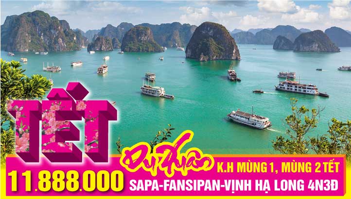 Tour du lịch Tết Nguyên Đán Sapa - Fansipan - Bản Cát Cát - Hạ Long 4N3Đ