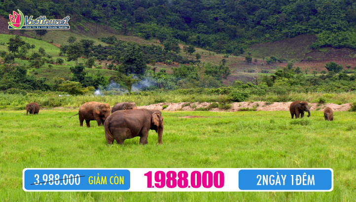 Du lịch Campuchia Mondulkiri 2N1Đ | Khám phá cao nguyên Mondulkiri - Thung lũng voi - Núi rừng nguyên sinh - Thảo nguyên xanh