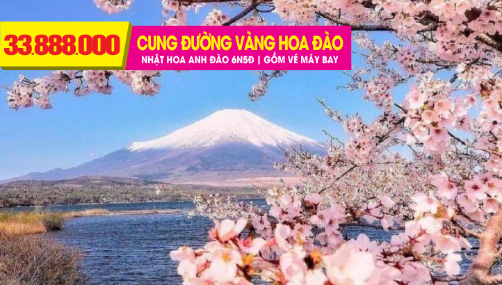 Tour du lịch Nhật Bản Mùa Hoa Anh Đào - CUNG ĐƯỜNG VÀNG 6N5Đ - OSAKA - KYOTO - KOBE - NARA - NAGOYA - NÚI PHÚ SĨ - THỦ ĐÔ TOKYO