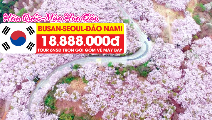 Tour Du Lịch Hàn Quốc liên tuyến BUSAN - SEOUL– ĐẢO NAMI - THÁP NAMSAN - EVERLAND 6N5Đ