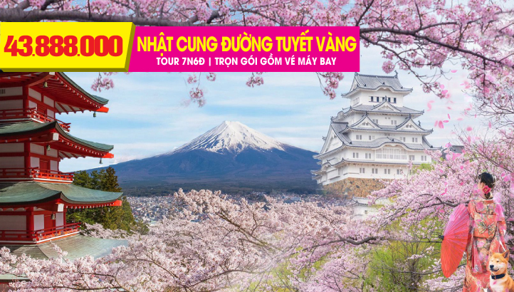 Tour Nhật Bản Mùa Hoa Anh Đào 7N6Đ - CUNG ĐƯỜNG TUYẾT VÀNG - LÀNG CỔ - HỒ BIWA | OSAKA - BIWAKO - KANAZAWA - SHIRAKAWAGO - TAKAYAMA - TATEYAMA KUROBE ALPENE ROUTE - AZUMINO - NÚI PHÚ SỸ - TOKYO