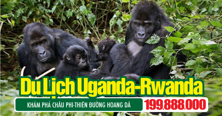 Du lịch UGANDA - RWANDA