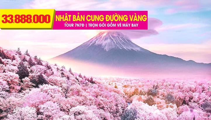 NHẬT BẢN MÙA HOA ANH ĐÀO  TOKYO - NÚI PHÚ SĨ - NAGOYA - KYOTO - OSAKA - NARA - KOBE 7N6Đ