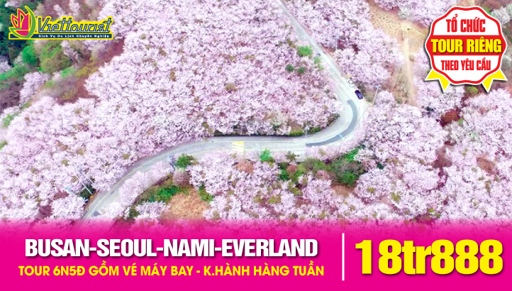 Tour Du Lịch Hàn Quốc Hoa Anh Đào liên tuyến BUSAN - SEOUL– ĐẢO NAMI - THÁP NAMSAN - EVERLAND 6N5Đ