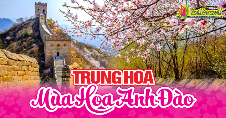 Tour Trung Quốc mùa Hoa Anh Đào