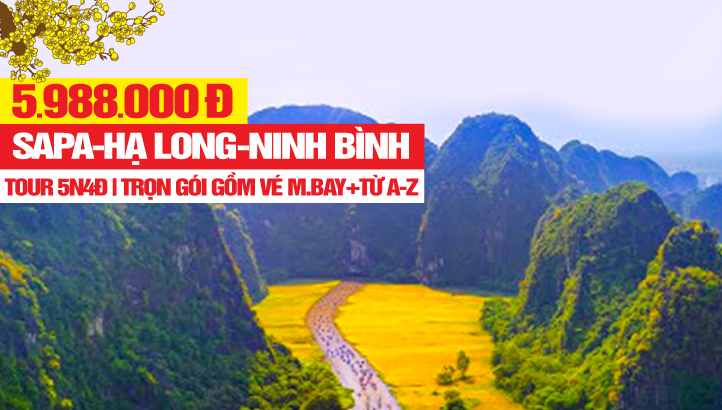Tour du lịch Hà Nội-Sapa-Fansipan-Vịnh Hạ Long-Ninh Bình 5n4đ KH Hà Nội