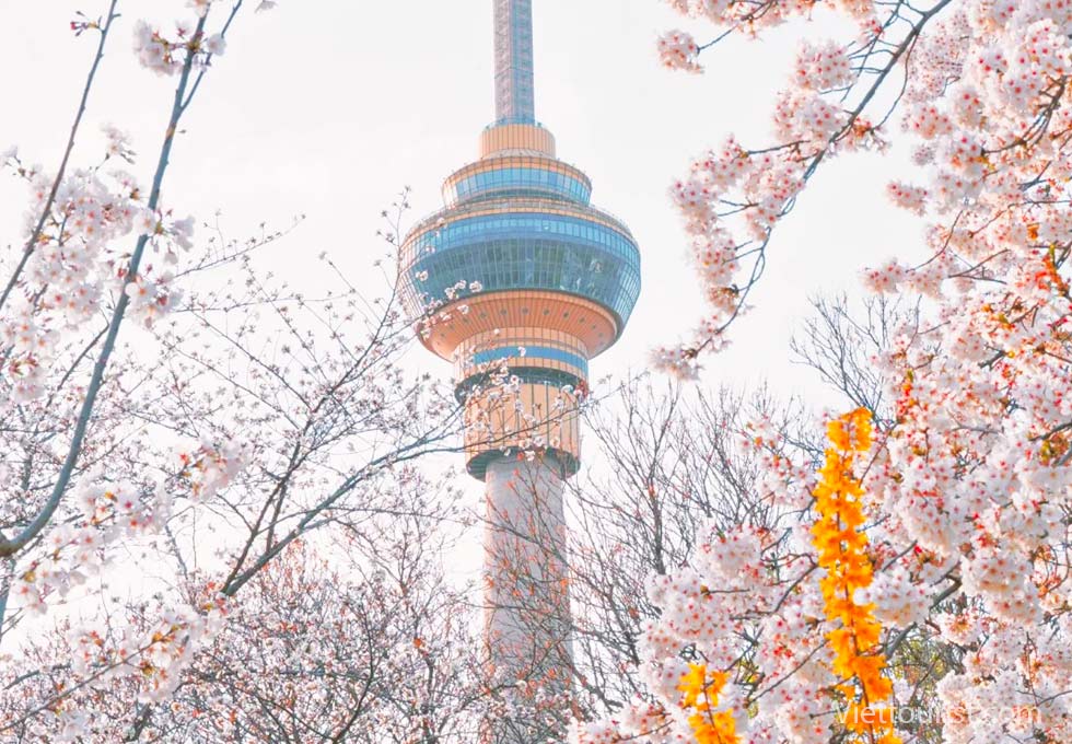 BẮC KINH SẮC HOA - CHẠM TAY VÀO NÀNG THƠ NGỌC UYÊN ĐÀM