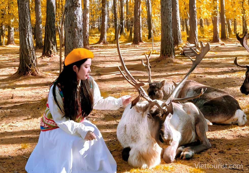 Người Ewenki - Bộ tộc tuần lộc cuối cùng của Trung Quốc