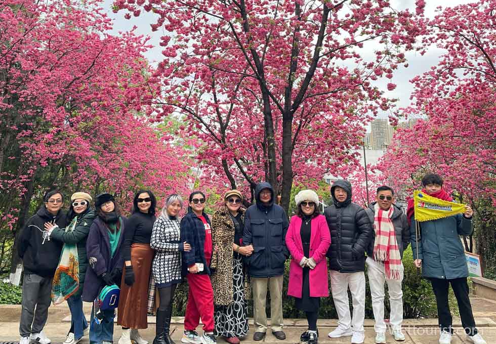 MÙA HOA ĐÀO LỆ GIANG - SẮC XUÂN DỊU DÀNG DƯỚI CHÂN NÚI TUYẾT NGỌC LONG