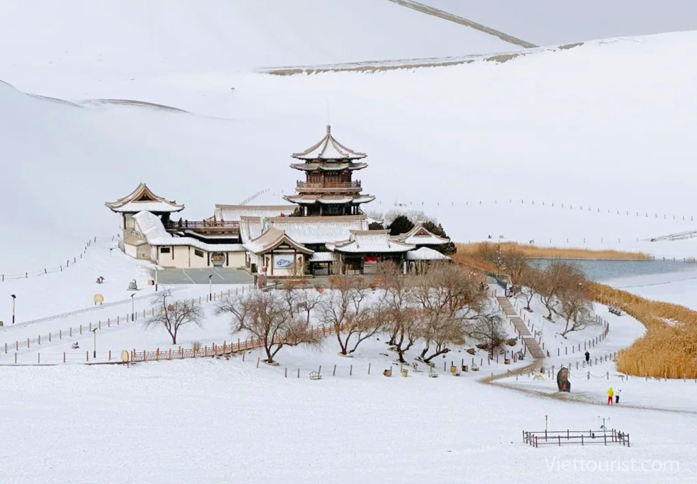BẠN ĐÃ BAO GIỜ THẤY TUYẾT SA MẠC CHƯA?