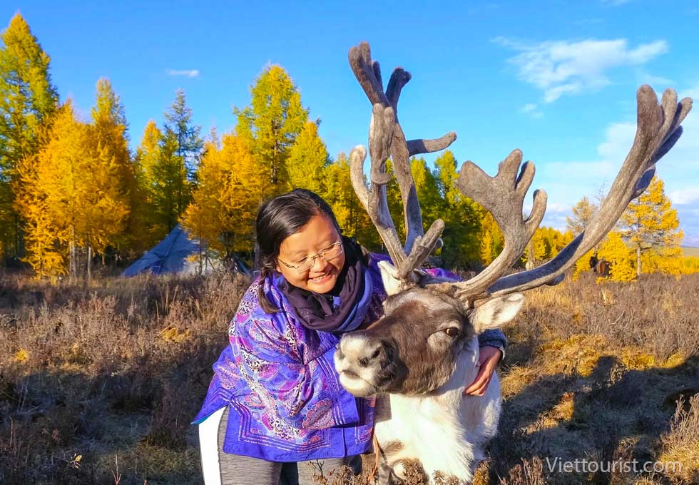 Những người chăn tuần lộc Mông Cổ là ai?