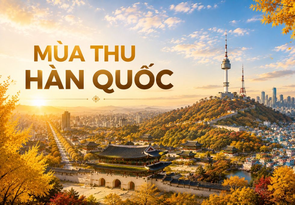 Du lịch Hàn Quốc mùa thu 2026 - Khám phá mùa lá vàng, lá đỏ đẹp nhất trong năm