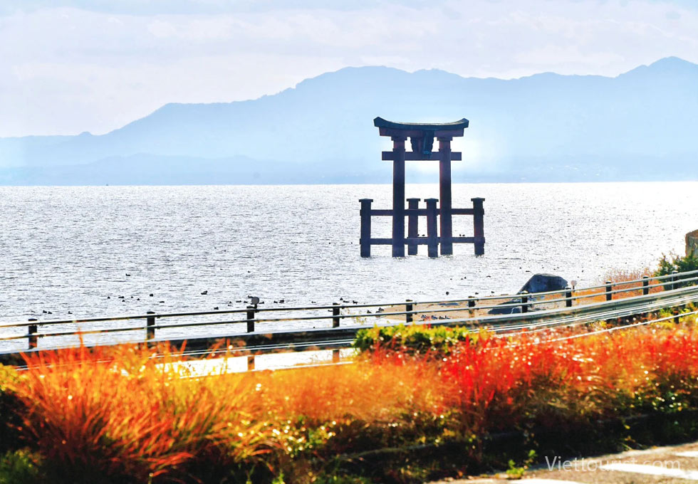 HỒ BIWA – TUYỆT TÁC BỐN MÙA CỦA NHẬT BẢN