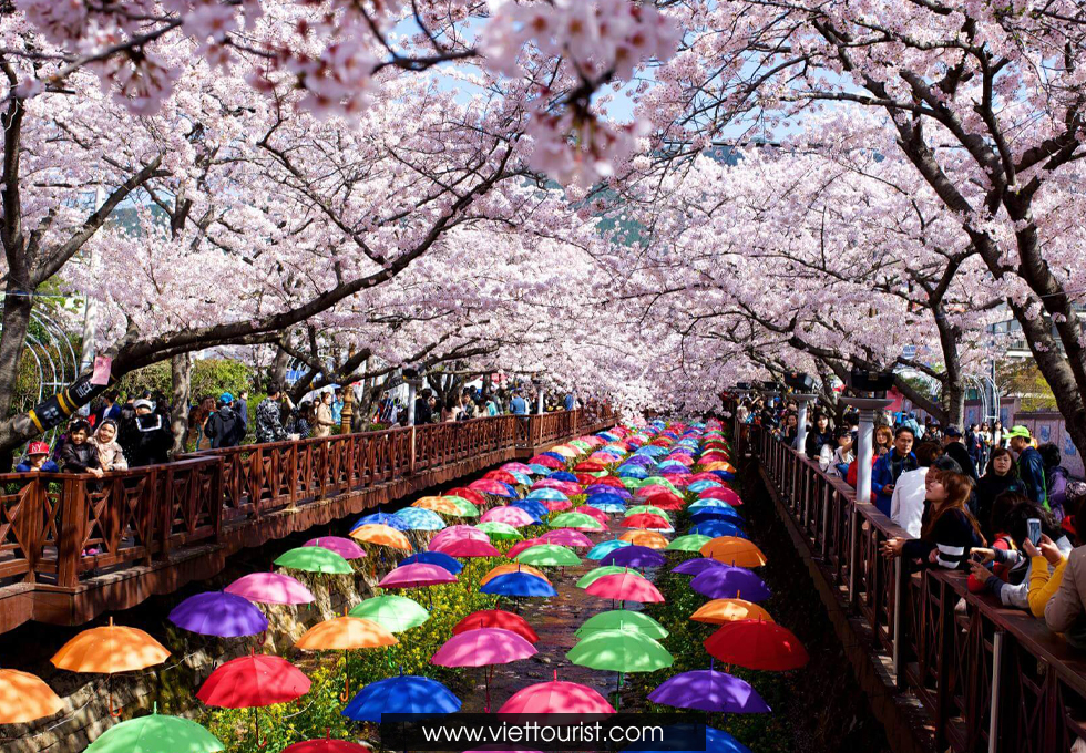 Du lịch Nhật Bản – Xuân Hạ Thu Đông