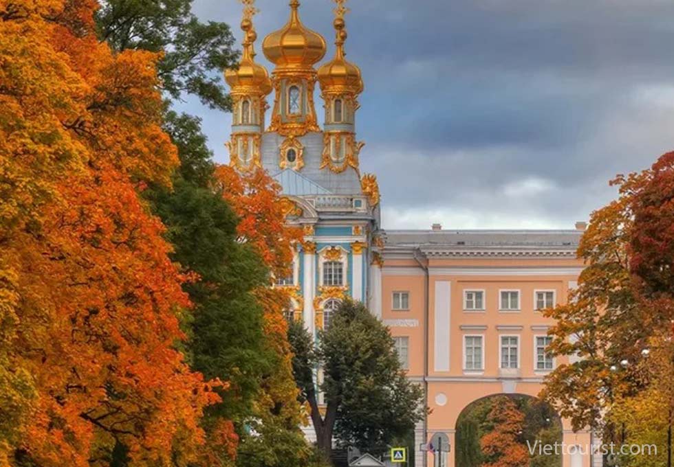 Mùa Thu – Bản hòa ca của sắc vàng và nỗi nhớ