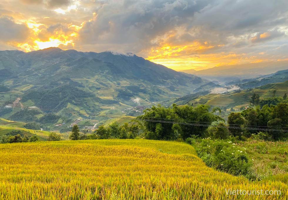 ĐI SĂN MÙA LÚA CHÍN TÂY BẮC