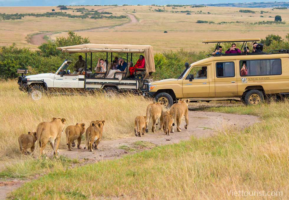 Du lịch Kenya: Thiên đường hoang dã châu Phi