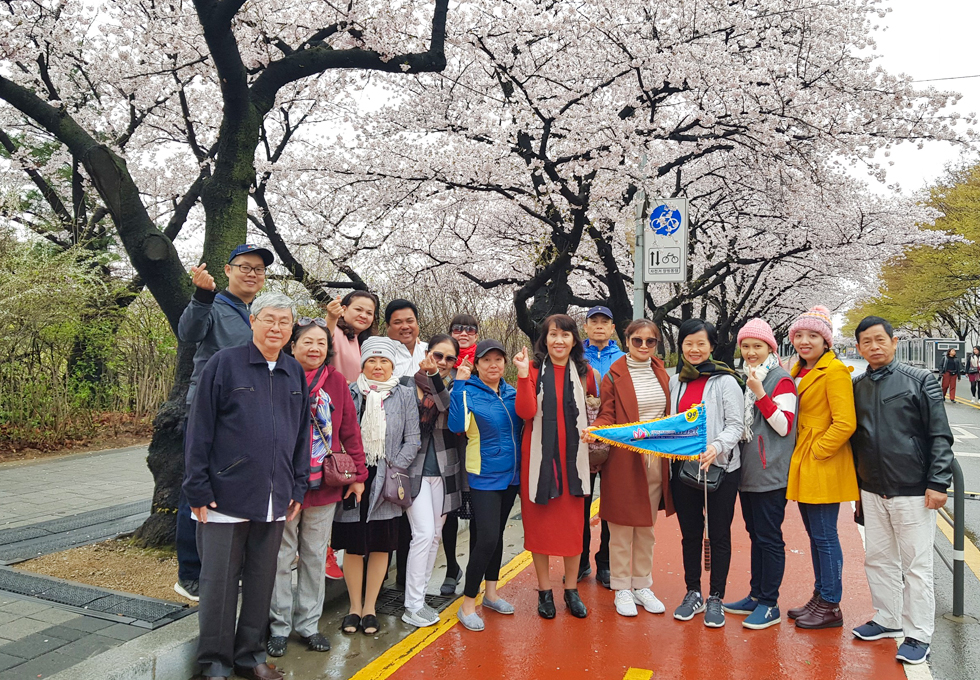 Tour du lịch Hàn Quốc - Đón Sắc Xuân mùa Hoa Anh Đào 5n4d