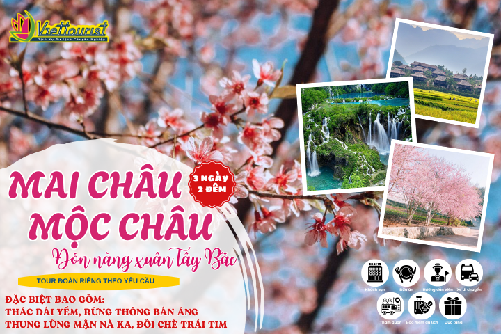 MAI CHÂU – MỘC CHÂU 3N2Đ │NGẮM HOA MAI ANH ĐÀO – ĐÓN NÀNG XUÂN TÂY BẮC | TỔ CHỨC ĐOÀN RIÊNG – Khởi hành theo yêu cầu