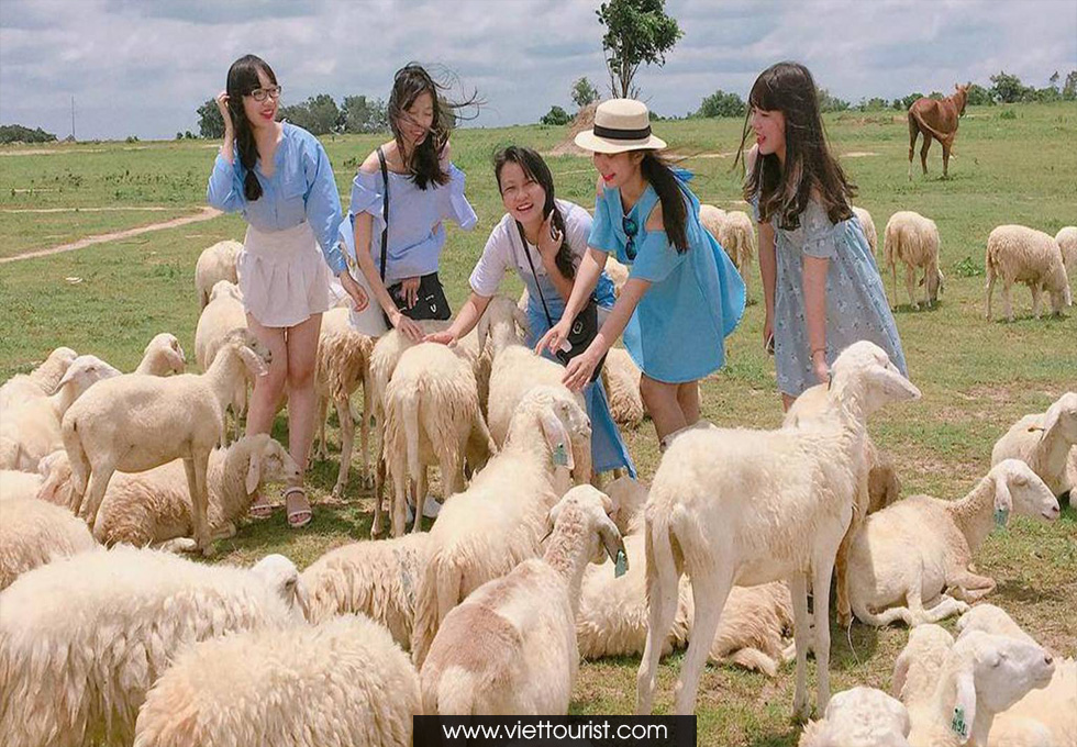 DU LỊCH NGHỈ DƯỠNG 3N2Đ BÌNH CHÂU – HỒ TRÀM – PHƯỚC HẢI