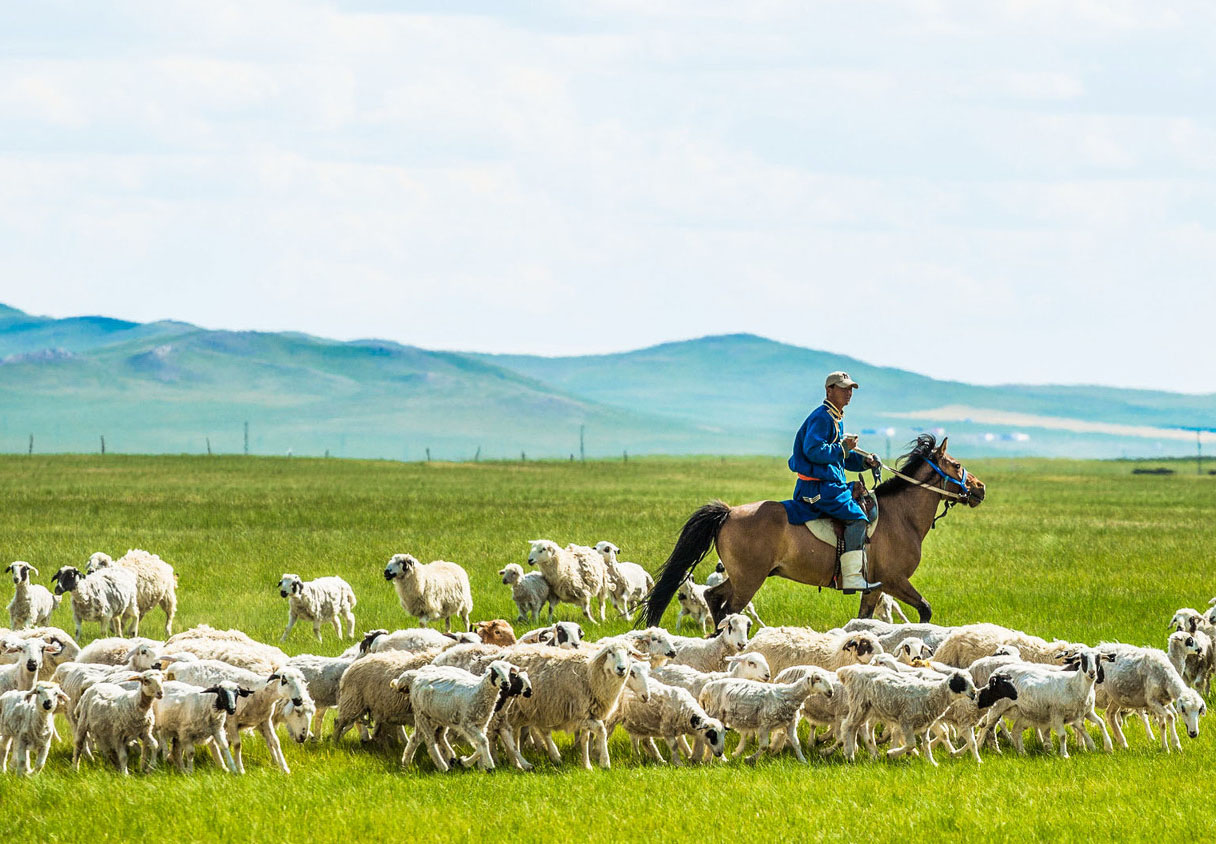 Du lịch Mông Cổ - Trải nghiệm hành trình du mục độc đáo - Khám phá quê hương THÀNH CÁT TƯ HÃN 7ngày