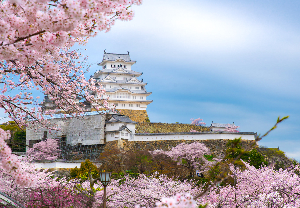 Ký sự du lịch Nhật Bản - Mùa xuân sang có hoa anh đào