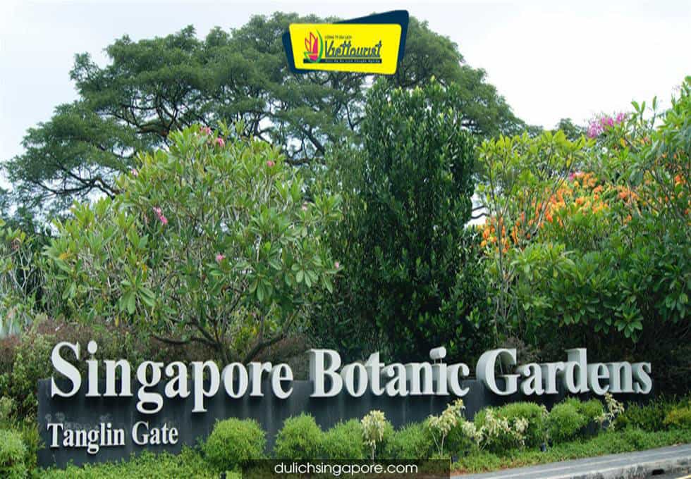 botanic-garden-singapore-viettourist
